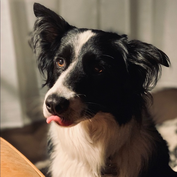 Meet your Posher, Natalie - Picture 7 of 16